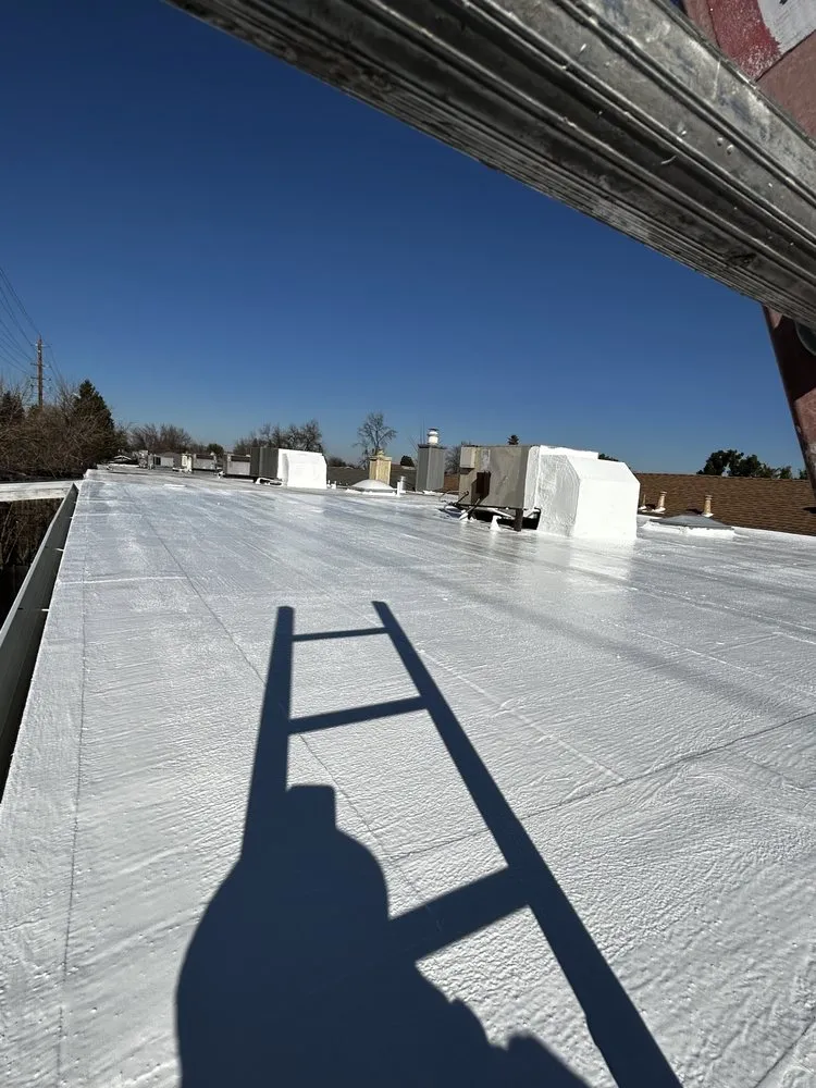 Slide of California Flat Roofs