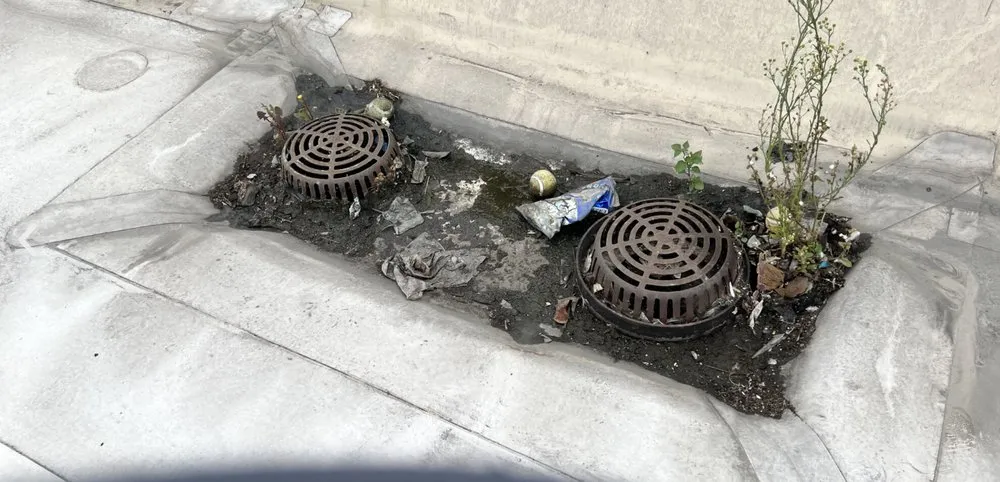 Slide of California Pressure Washing