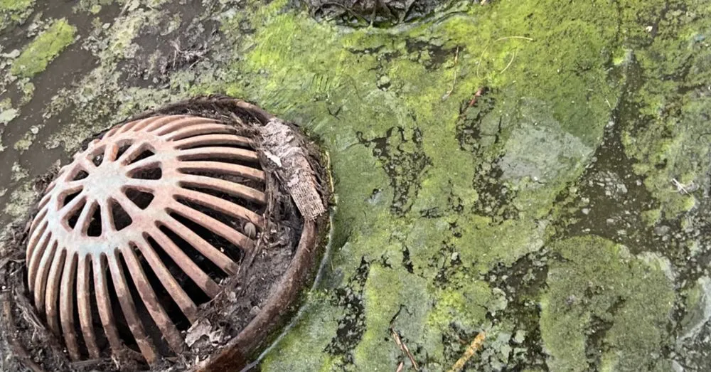 Slide of California Pressure Washing