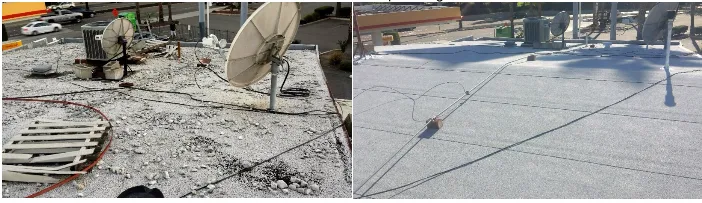 Slide of California Roof Life