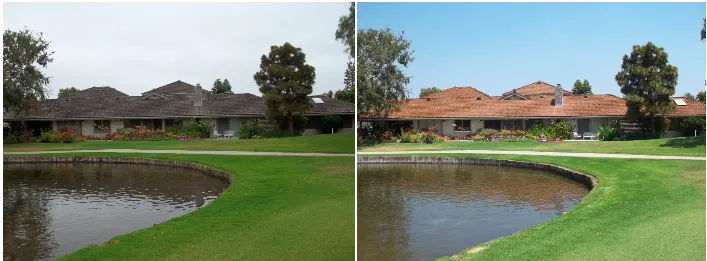 Slide of California Roof Life