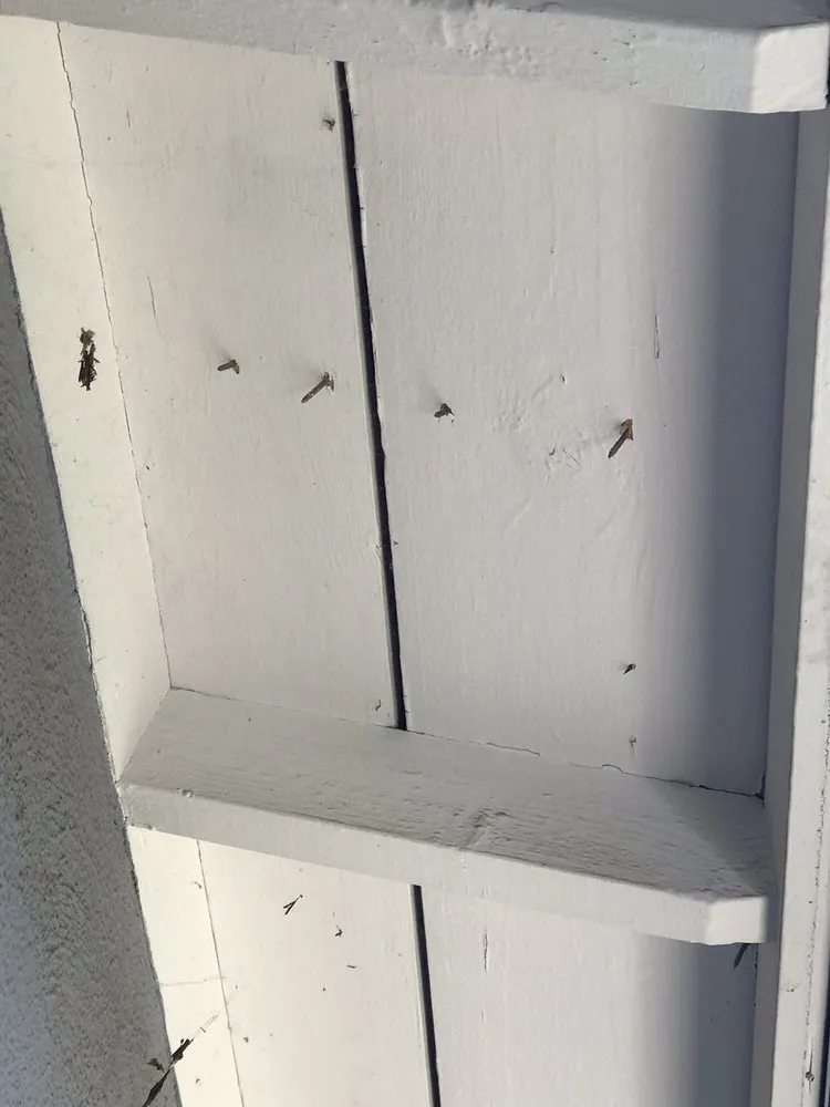 Slide of California Roofing Construction