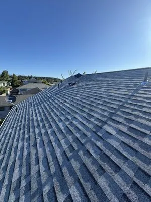 Caltons Roofing And Repairs