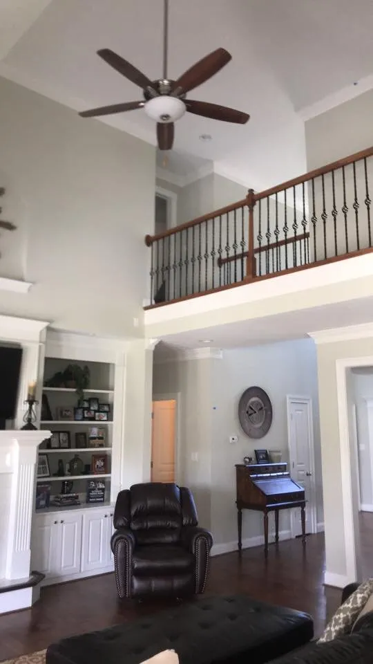 Slide of Camacho's Painting