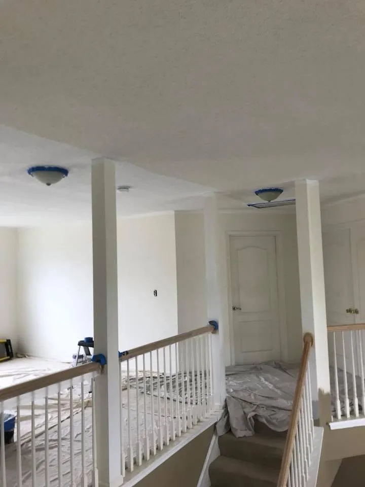 Slide of Camacho's Painting