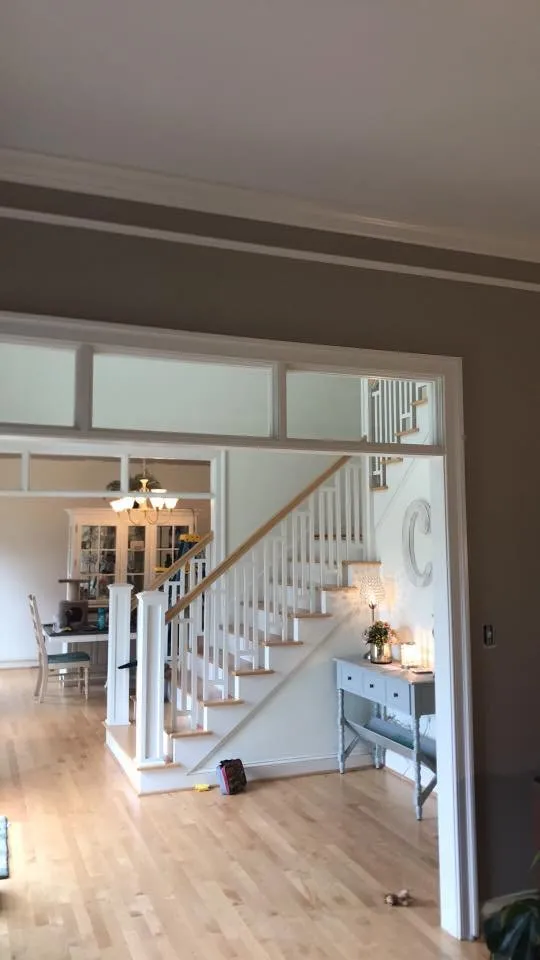 Slide of Camacho's Painting