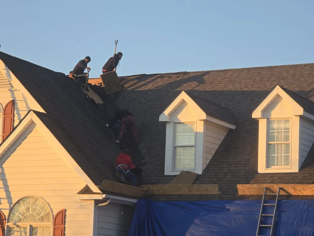 Slide of Cambra Consulting