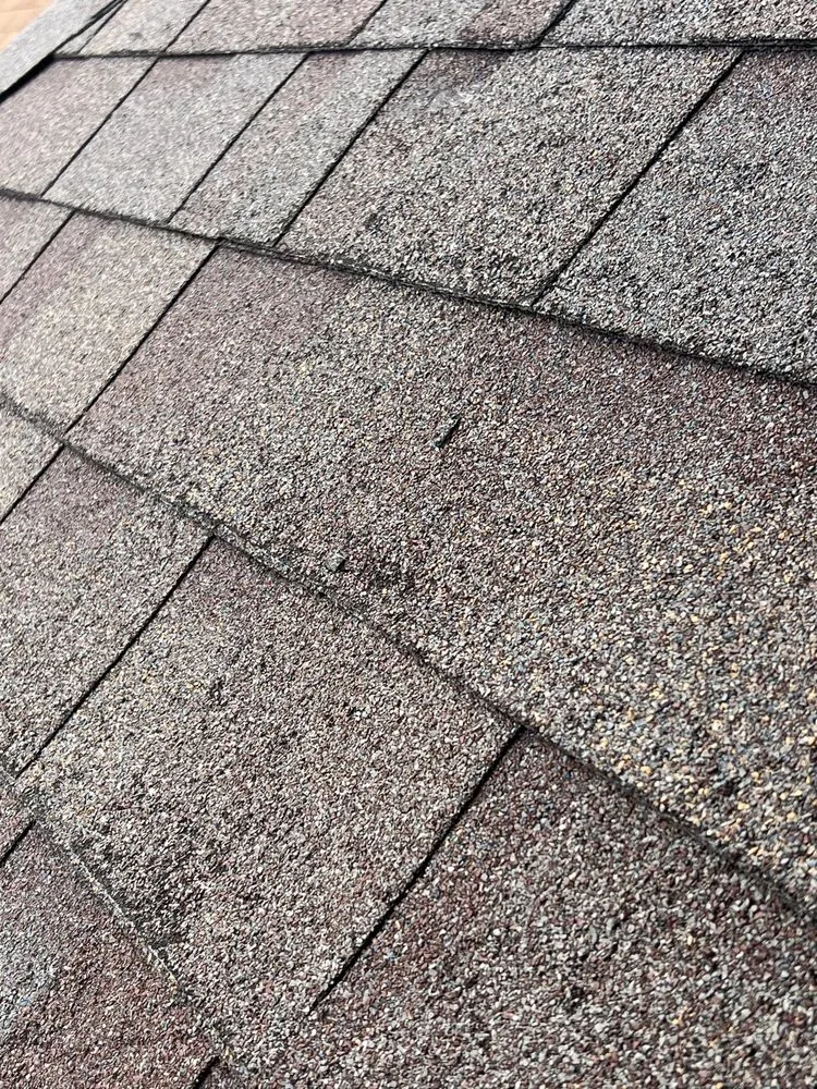 Slide of Campa Roofing