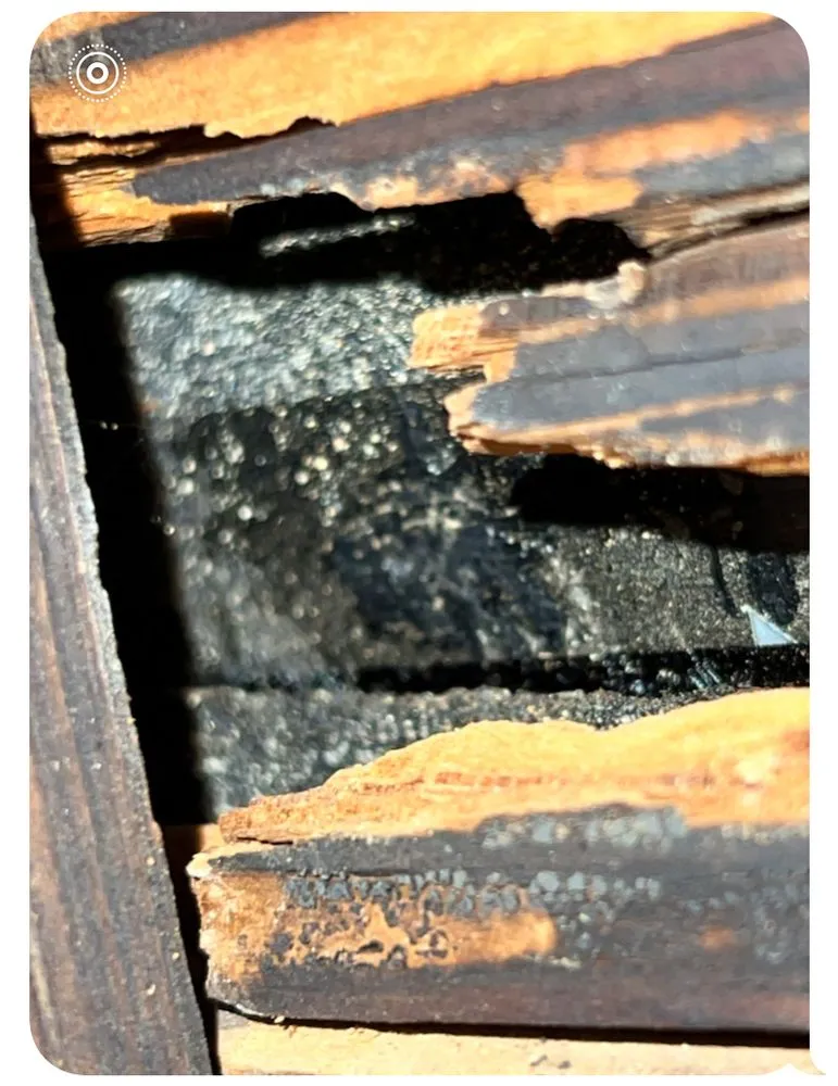 Slide of Campa Roofing