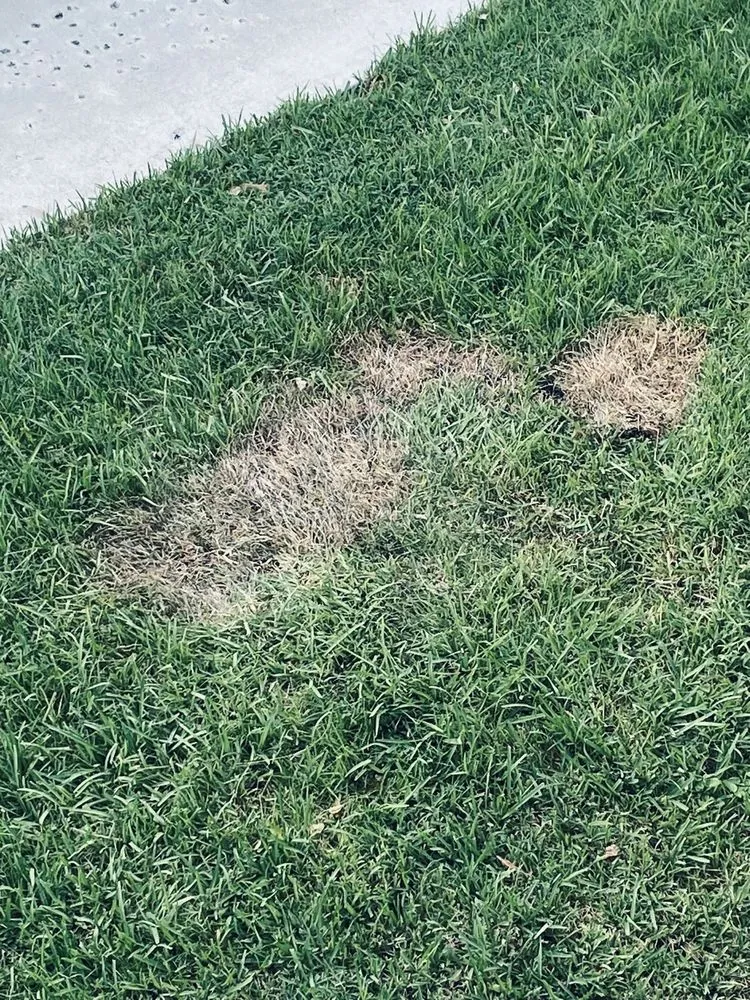 Slide of Campany Roof Maintenance