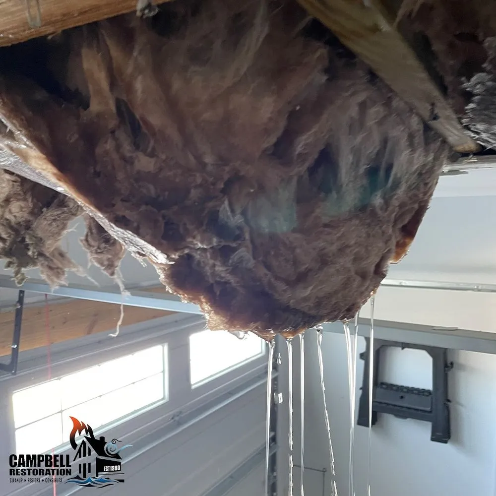 Slide of Campbell Restoration