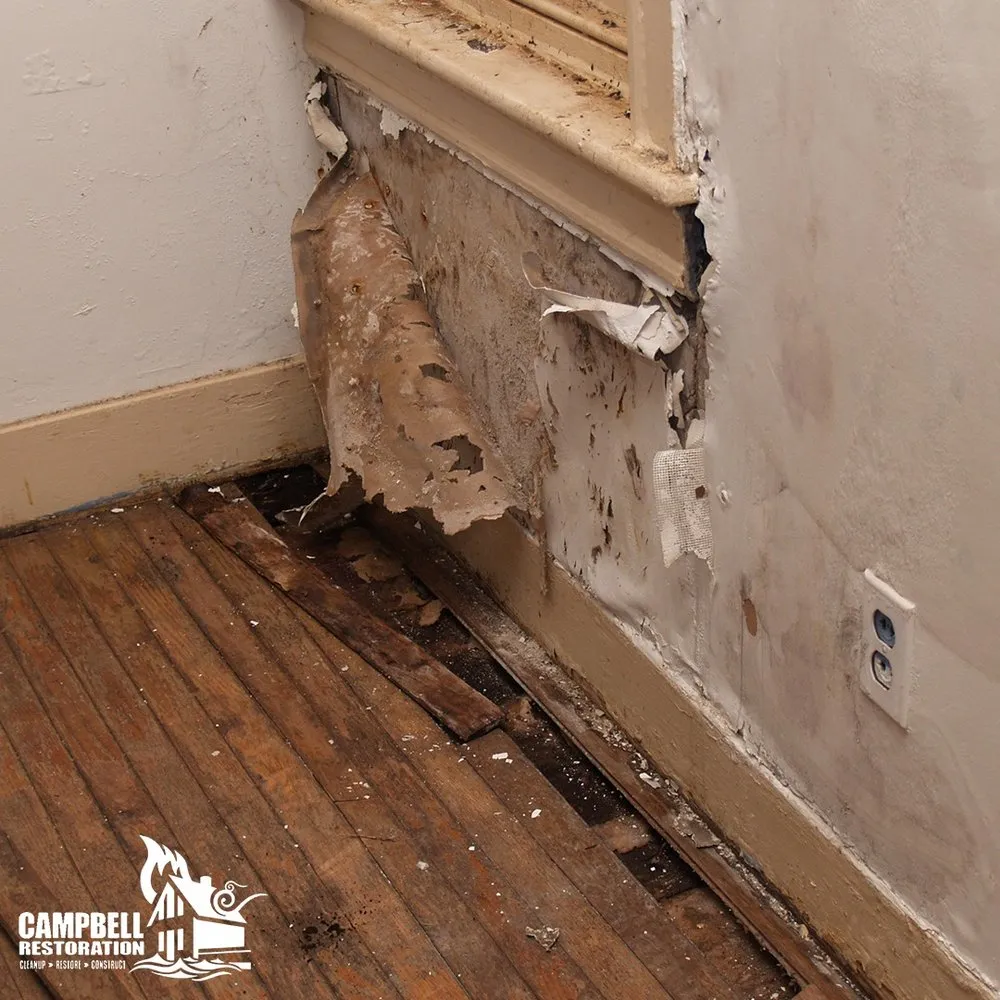 Slide of Campbell Restoration