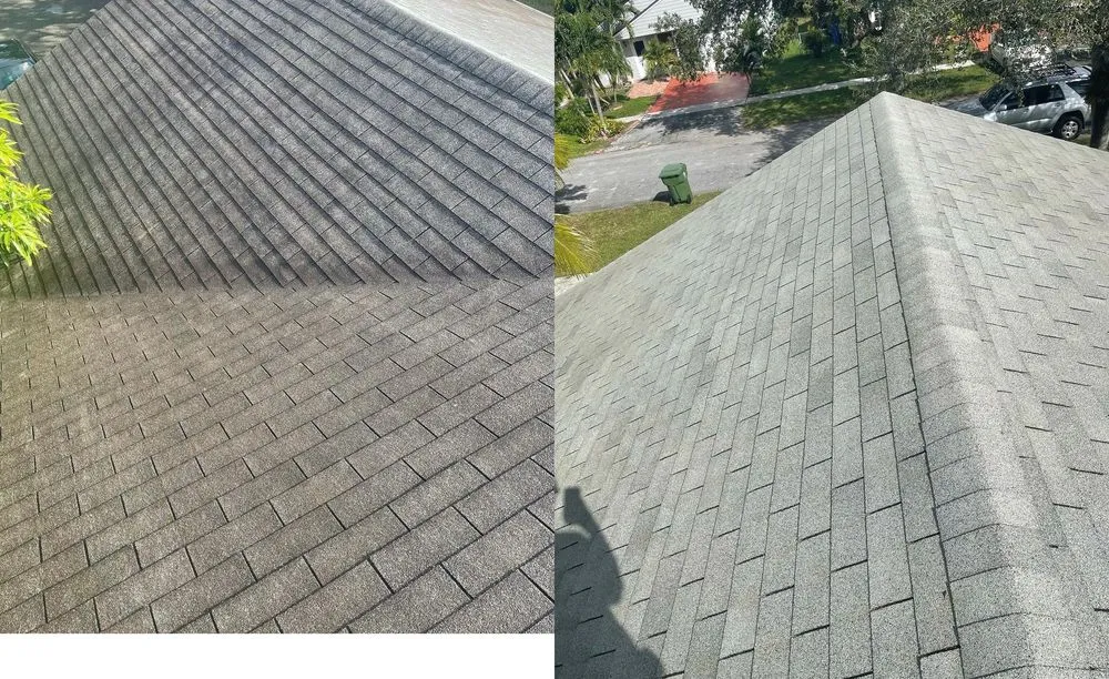 Slide of Cams Pressure Washing