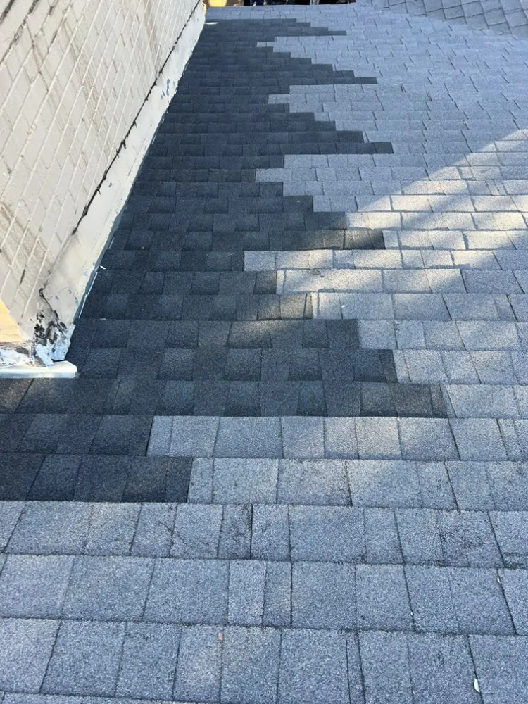 Slide of Canary Roofing