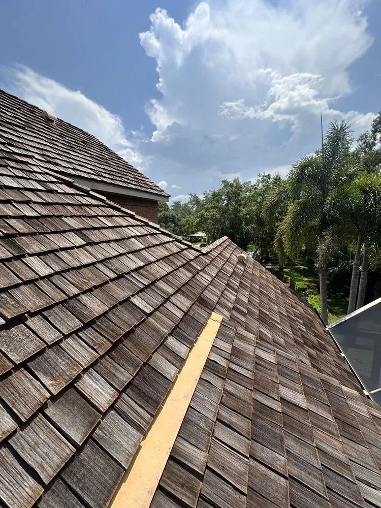 Slide of Cane Roofing
