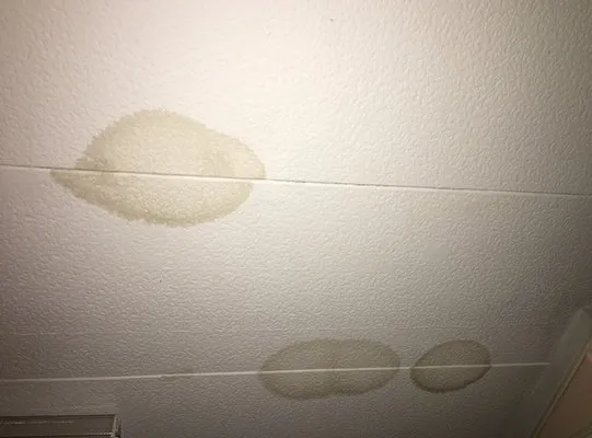 Cannedy Roofing Systems Logo