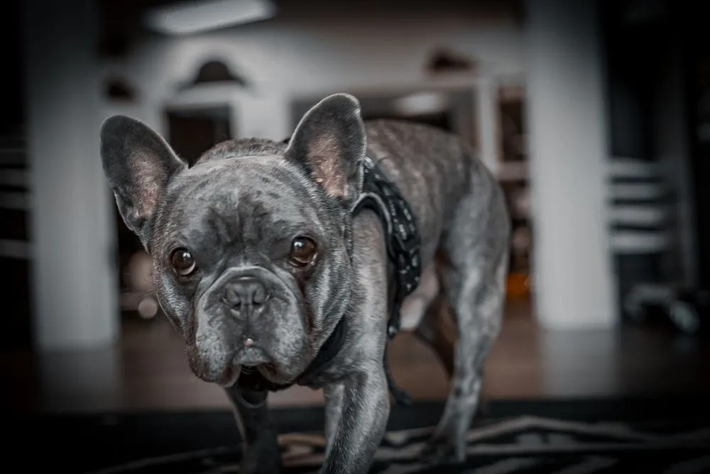 Slide of Canton Roofing