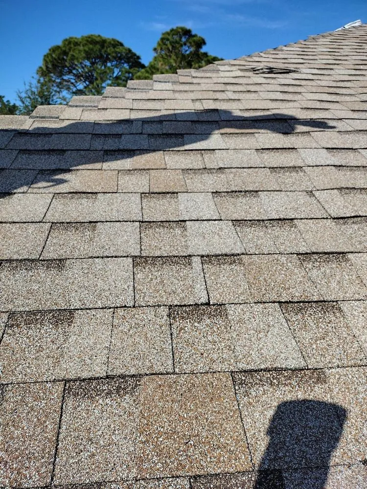 Slide of Capital Business Innovation Roofing