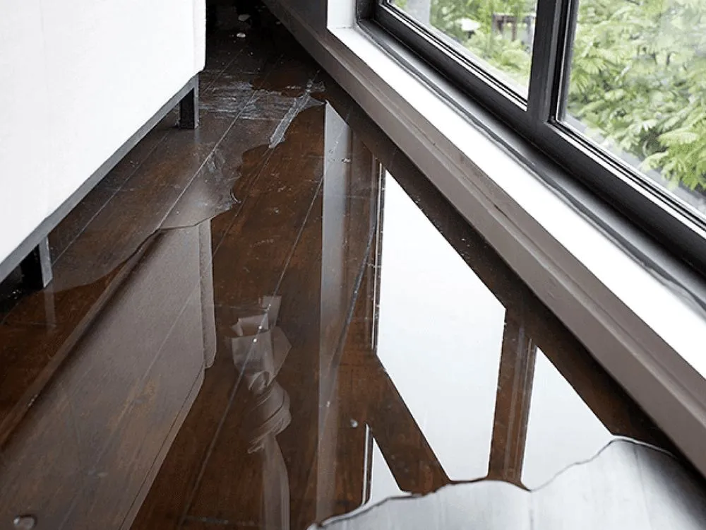 Slide of Capital Pro Services