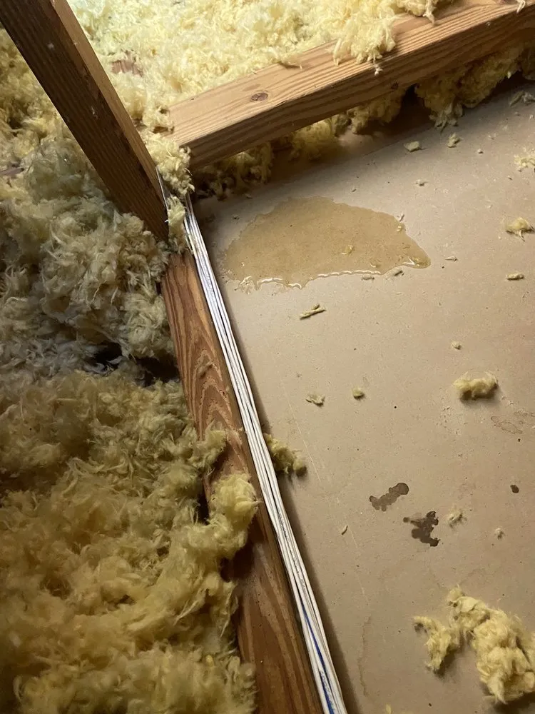 Slide of Capital Solar & Roofing