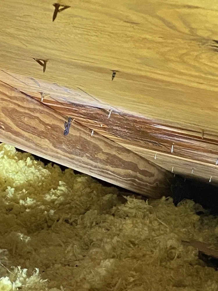 Slide of Capital Solar & Roofing