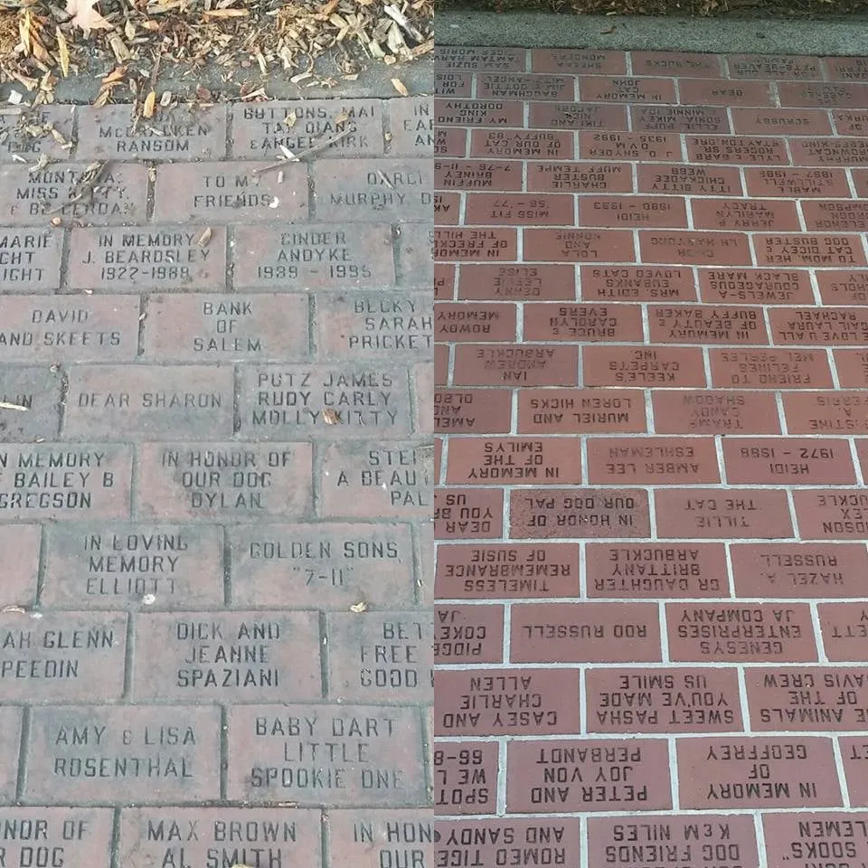 Slide of Capitol Pro Wash