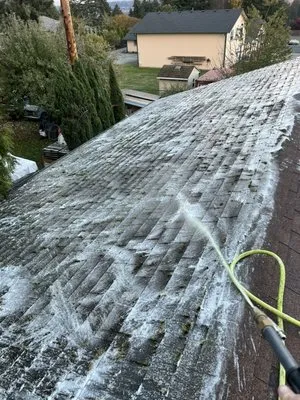 Capitol Property Solutions Logo