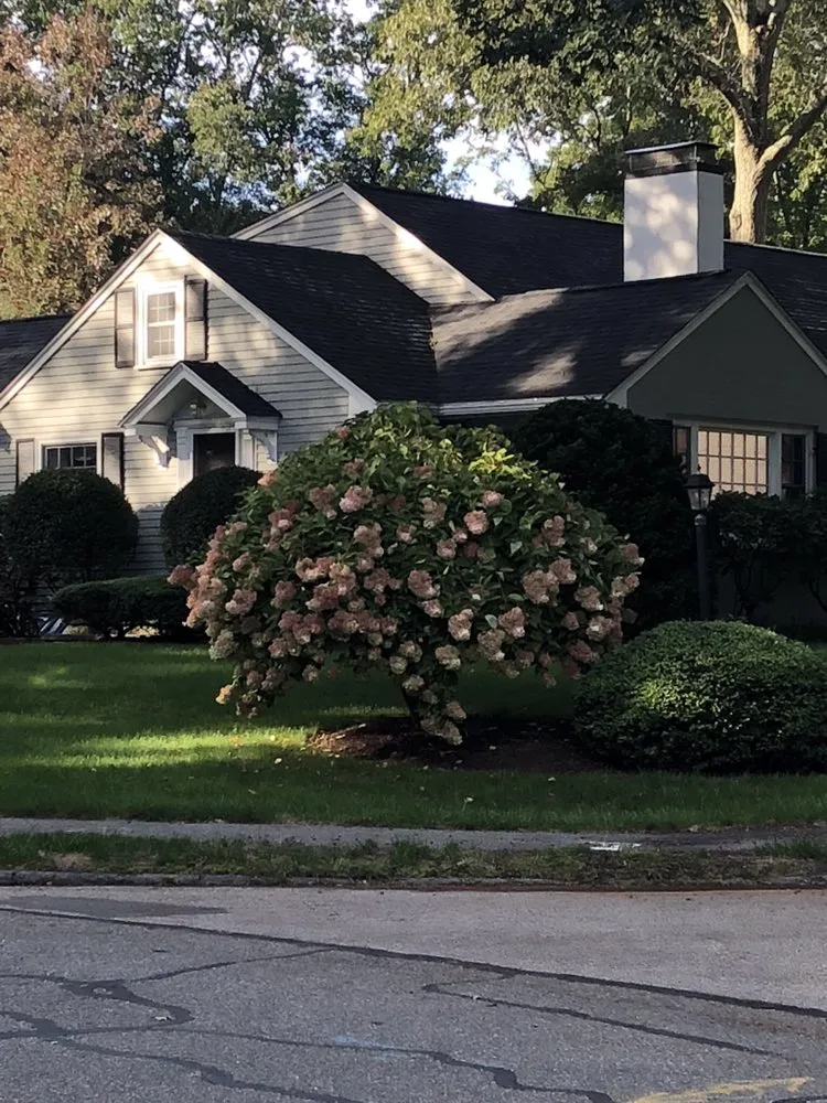 Slide of Capitol Roofing