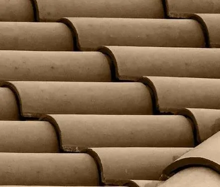 Slide of Capsigna Exteriors