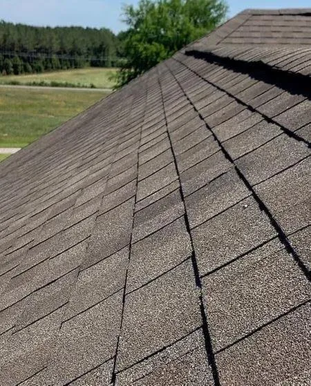 Slide of Capsigna Exteriors