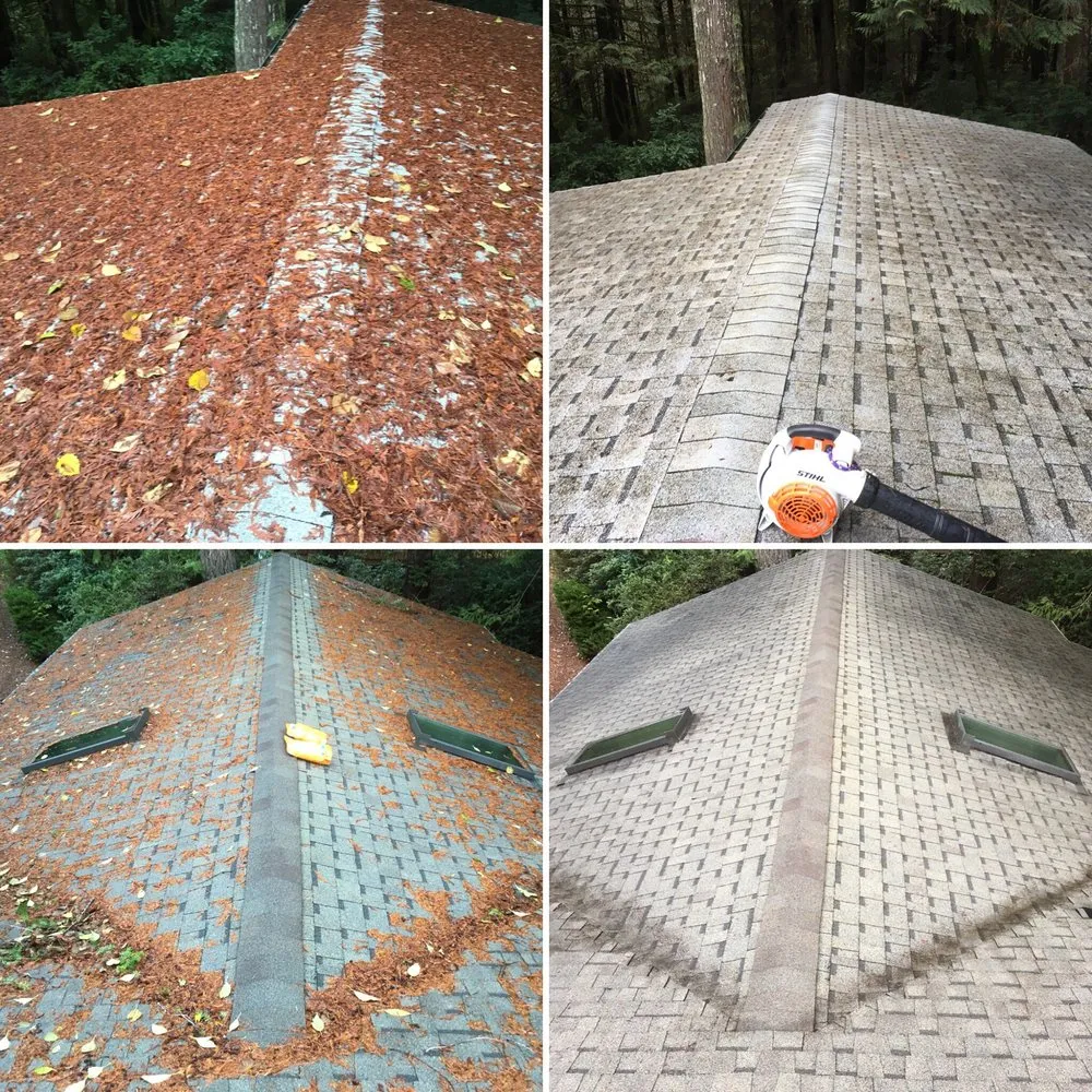 Slide of Cardinal Home Service