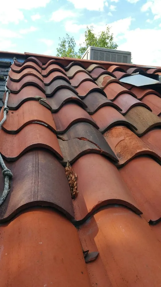 Slide of Carlos Enterprises