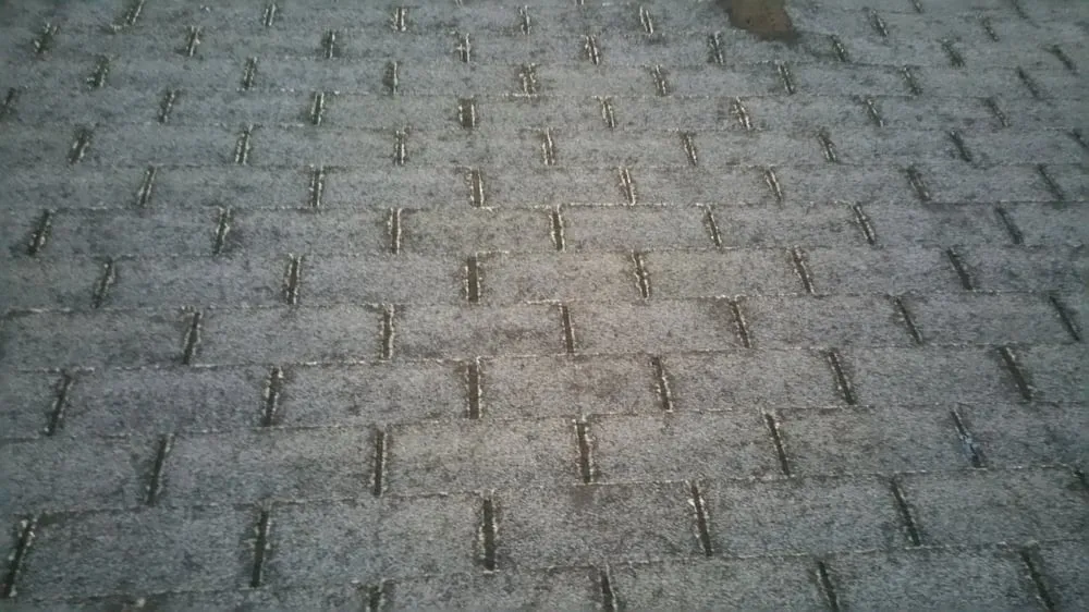 Slide of Carlos Enterprises