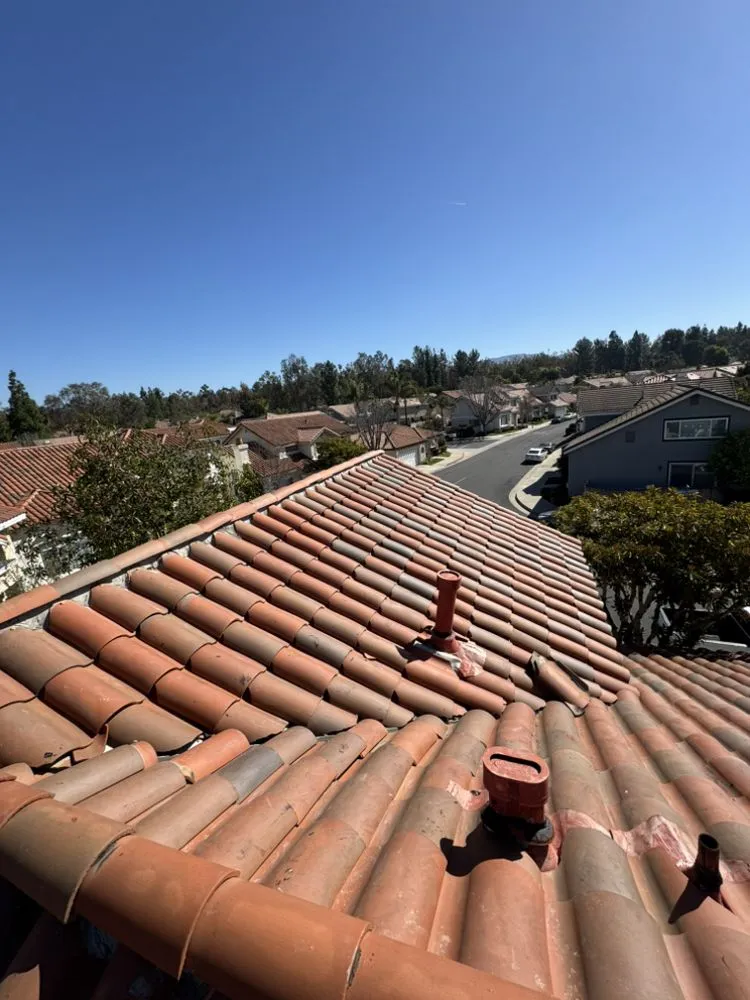 Slide of Carlos Martinez 