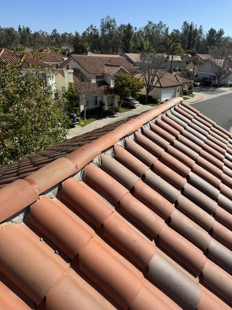 Slide of Carlos Martinez 