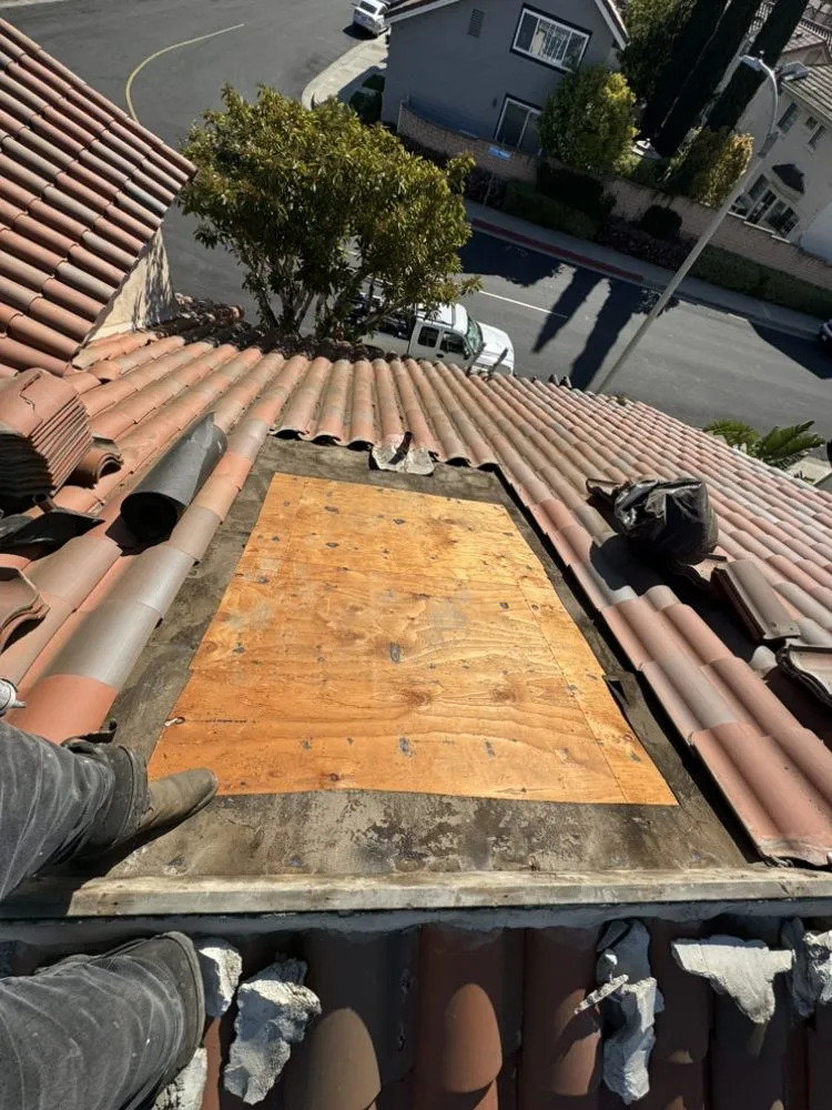 Slide of Carlos Martinez 