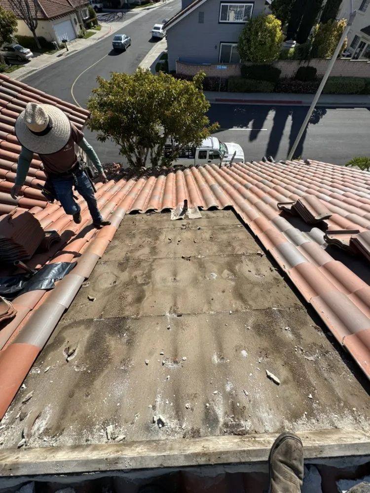 Slide of Carlos Martinez 