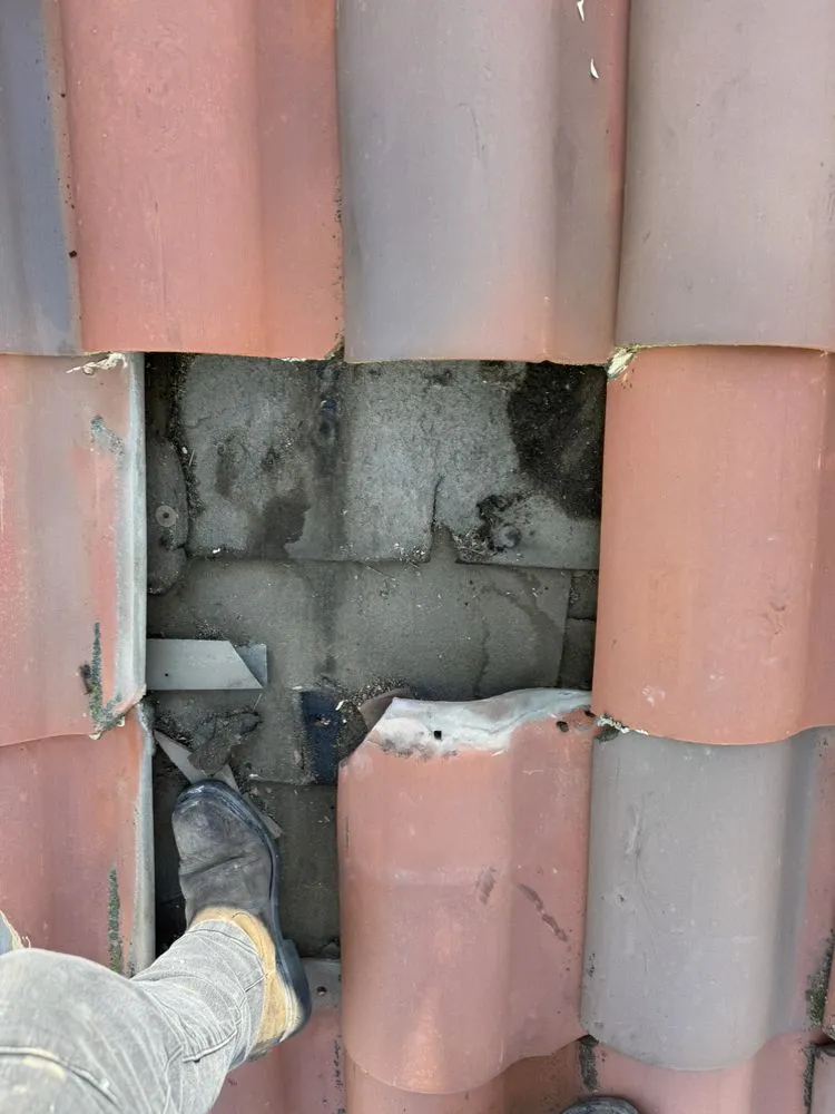 Slide of Carlos Martinez 