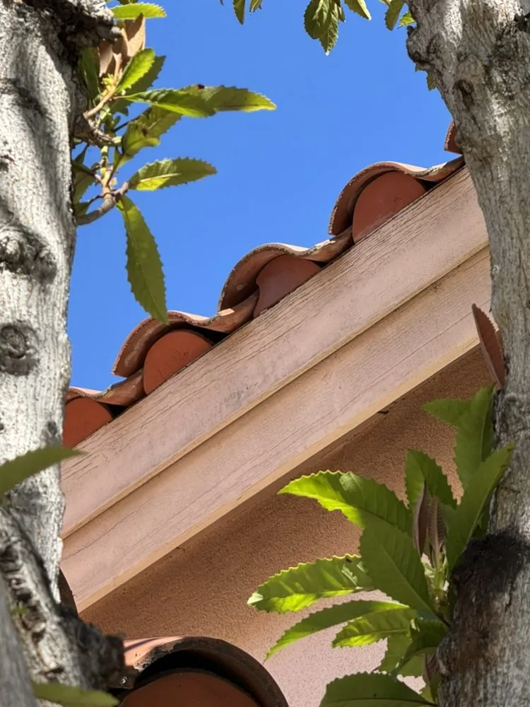 Slide of Carlos Martinez 