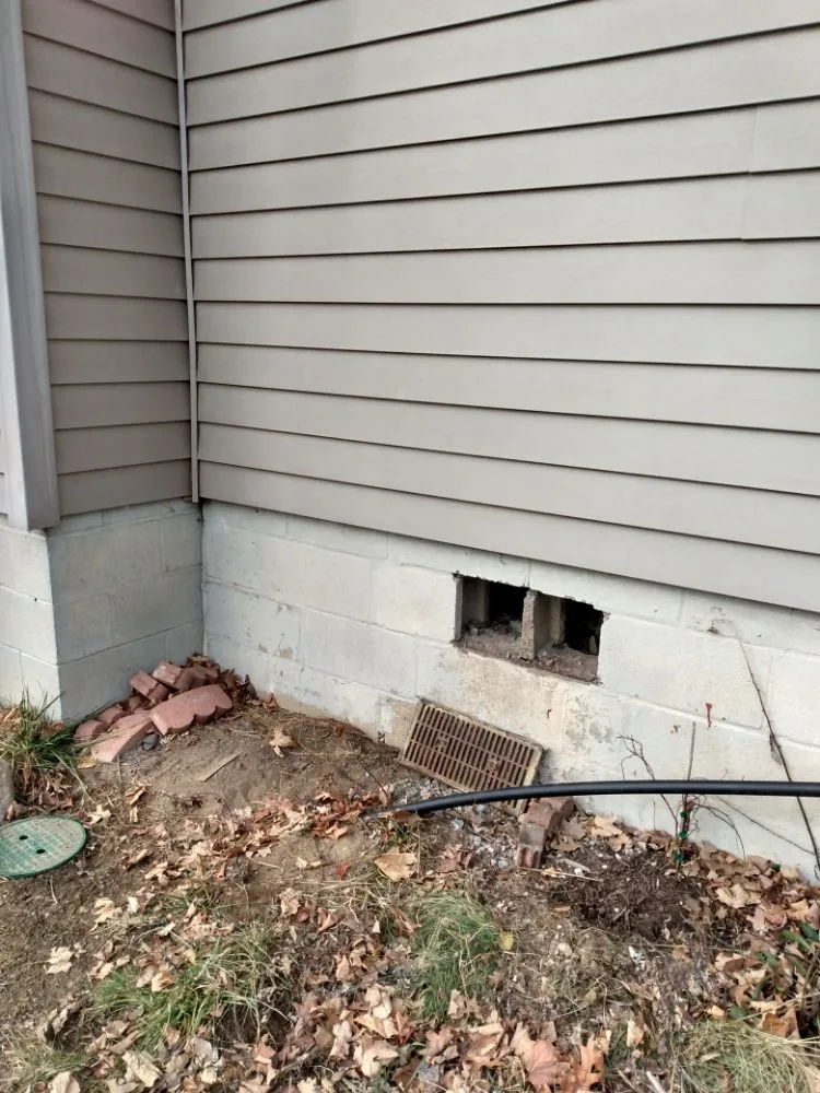 Slide of Carlotti Concepts Construction