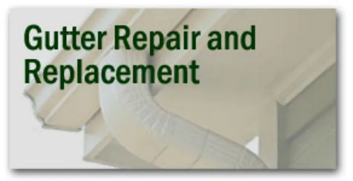 Slide of Carolina Gutter Helmet