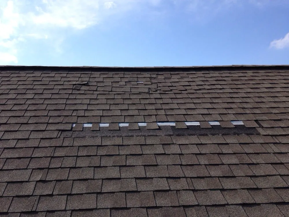 Slide of Carolina Roof Rescue