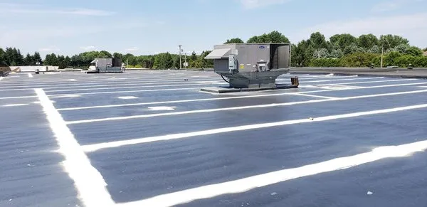 Carolina Roofing Service Logo