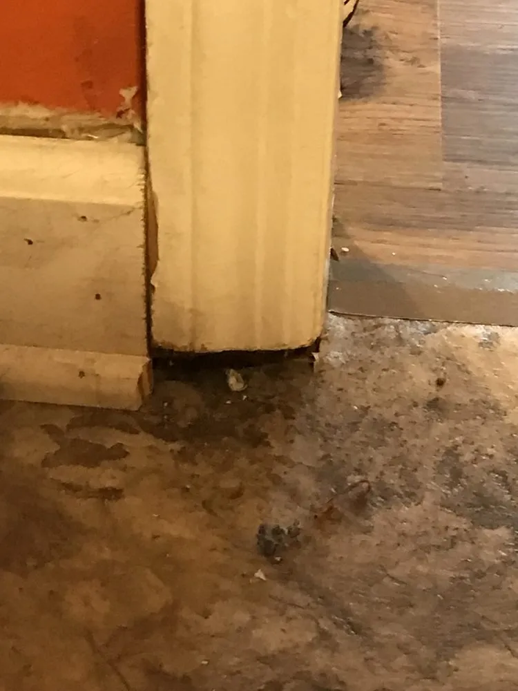 Slide of Carolinas Best Roofing