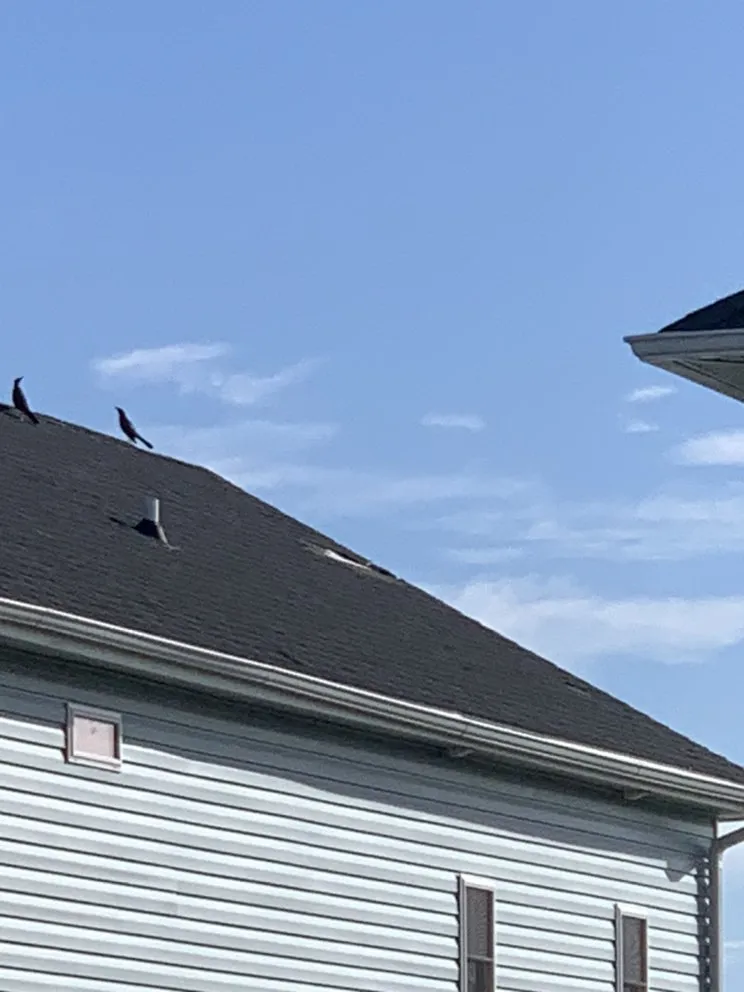 Slide of Carolinas Finest Construction Company