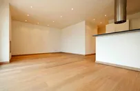 Slide of Carpet Dave