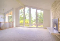 Slide of Carpet Dave