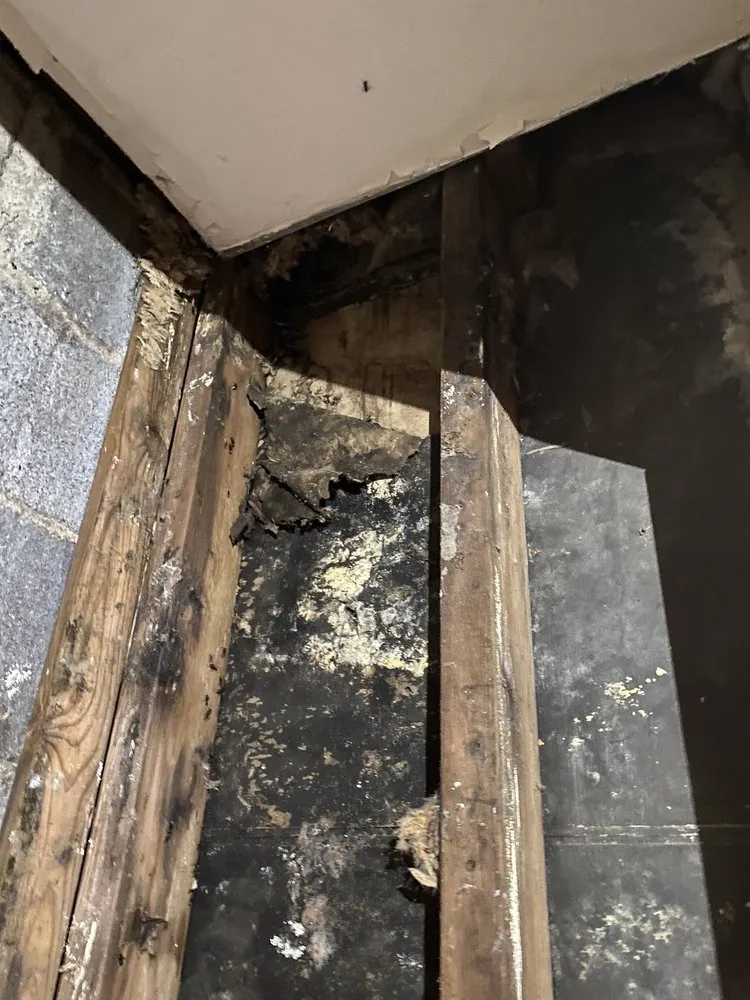 Slide of Carranza Roofing & Remodeling