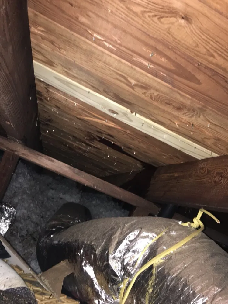 Slide of Carroll Bradford Roofing