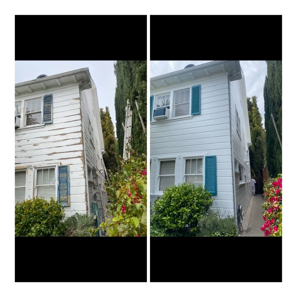 Slide of Carroll Painting